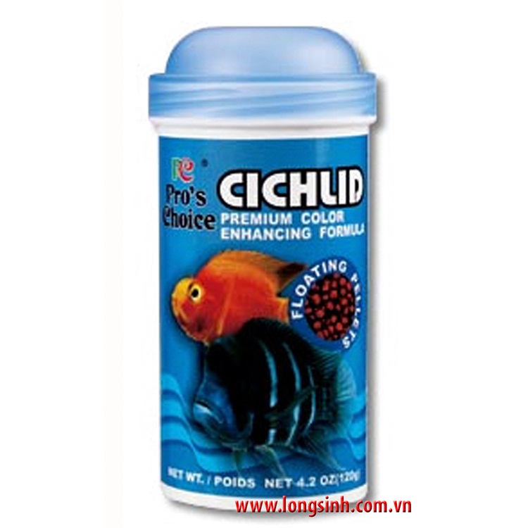 CichLid