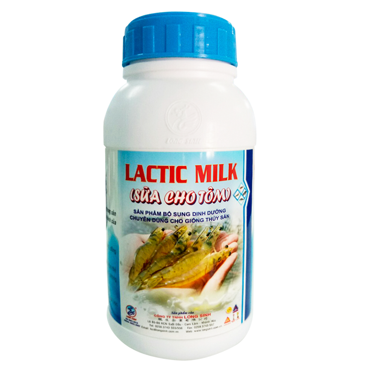 lactic milk